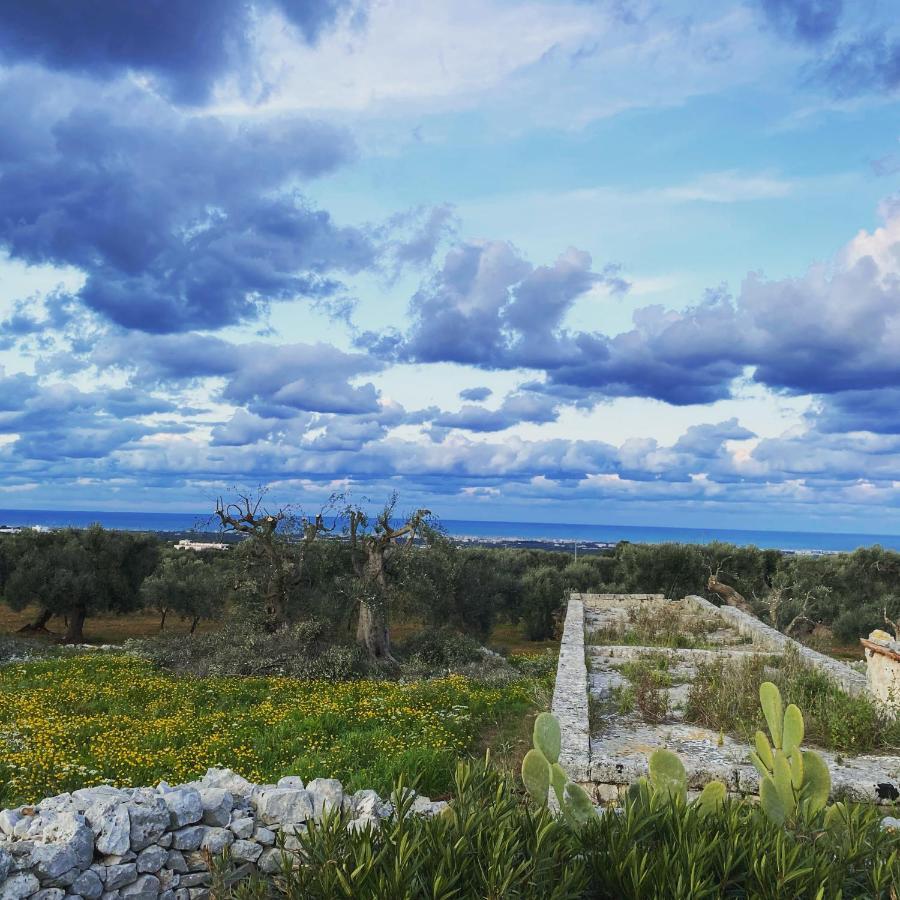La Guendalina Masseria E Casa Particular Bed and Breakfast Monopoli Eksteriør billede