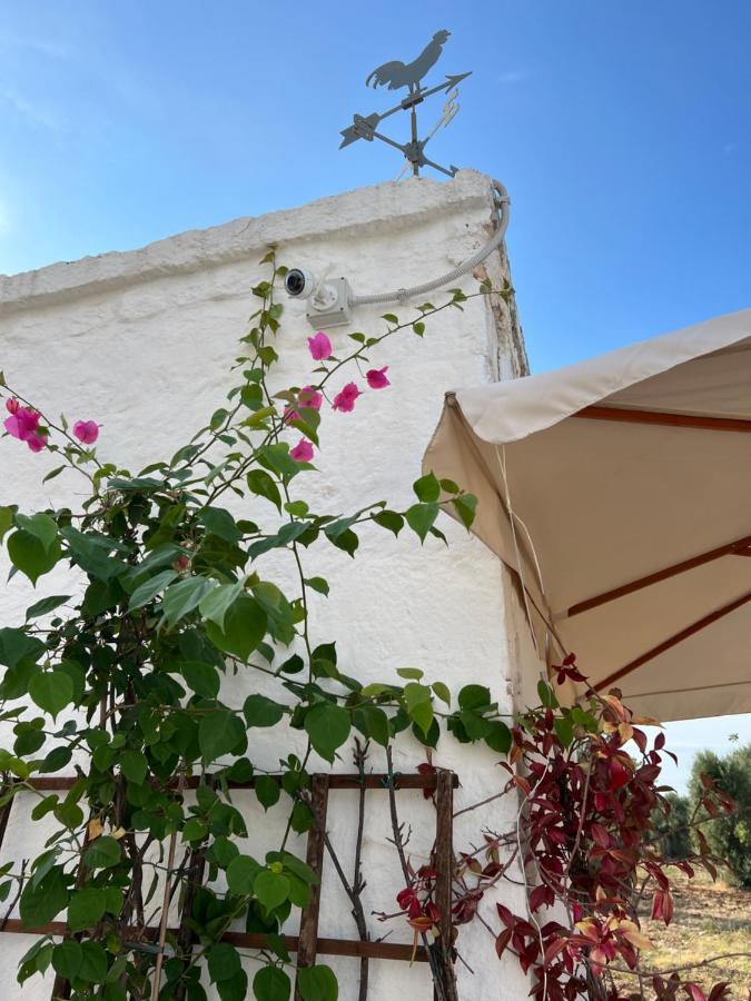 La Guendalina Masseria E Casa Particular Bed and Breakfast Monopoli Eksteriør billede